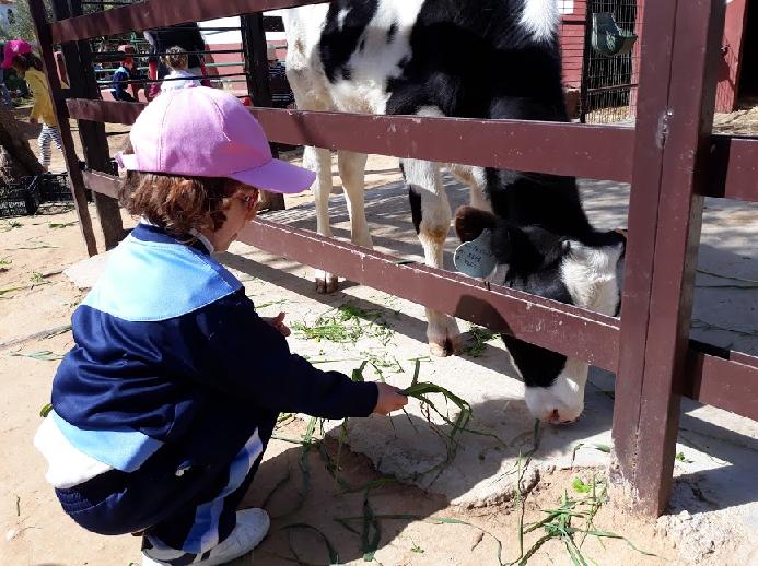 Un día en la Granja Escuela. Infantil.