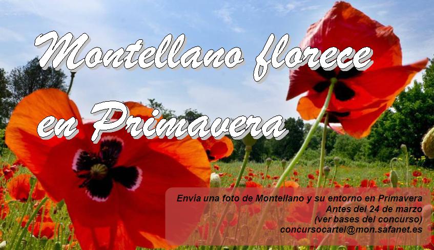 Concurso “Montellano florece en primavera”